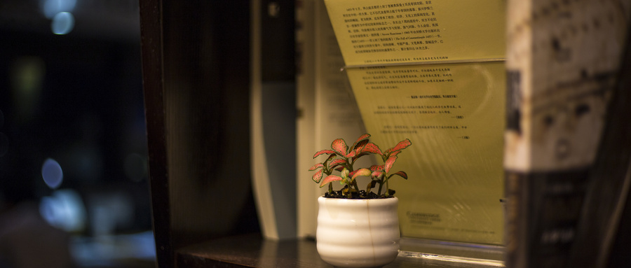 摄图网_500623087_wx_图书馆里的静物(企业商用).jpg 摄图网_500623087_wx_图书馆里的静物(企业商用).jpg